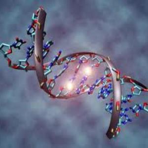 Genetica y transmision de caracteres hereditarios