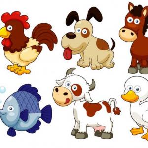 Aprendiendo con los animales