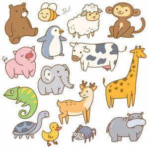 animales animales animales