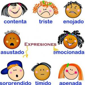 Las Memorias de las Emociones