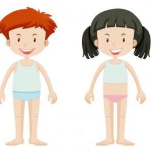 Face and Body Parts