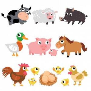 Animals