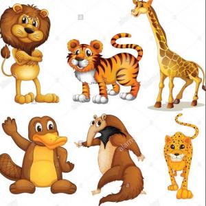 Animals 1st, grade.
