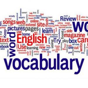 Vocabulary Chapter 8