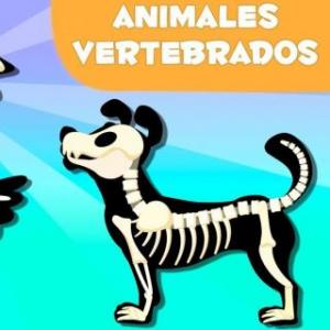 Animales Vertebrados