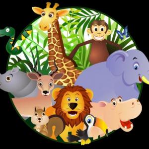 Clasificación de los animales.