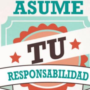 JUEGO DE LA RESPONSABILIDAD