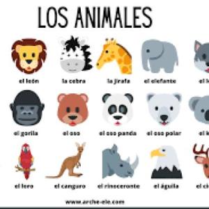CONOSCAMOS LOS ANIMALES