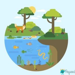 Tipos de animales