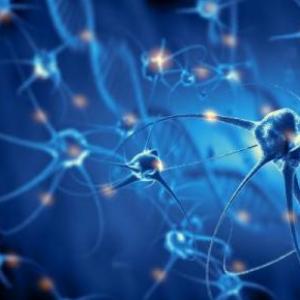 ¿Qué ocurre en nuestro cerebro?
