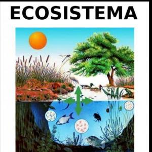 Juego de interacción 