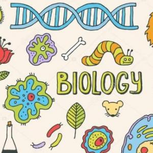 Juego de la Oca (Ciencias "Biología")