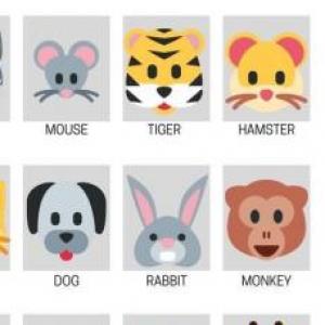 ¿What animal is?