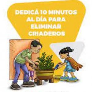 recomendaciones para prevenir y controlar los criaderos del mosquito