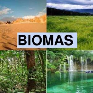 trivia biomas