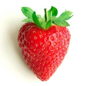 Portada del juego EL MUNDO FRUTAL – Lengua