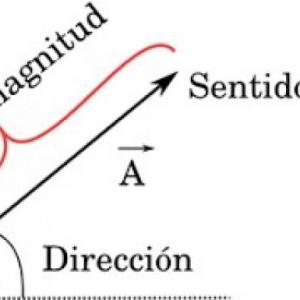 Tipos de planos