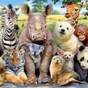 ¿que animal es?
