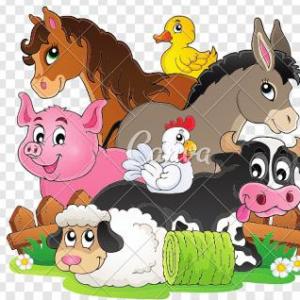 ANIMALES DOMESTICOS