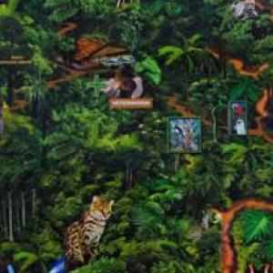 Imagen de portada del videojuego educativo: Puerto Iguazú, de la temática Literatura