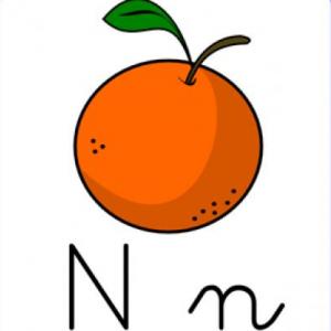 Lección letra N