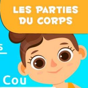 Les parties du corps