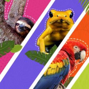 animales sorprendentes de la regio andina