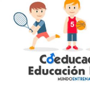 Imagen de portada del videojuego educativo: EDUCACION FISICA-DHI, de la temática Deportes