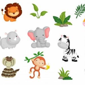 Animals