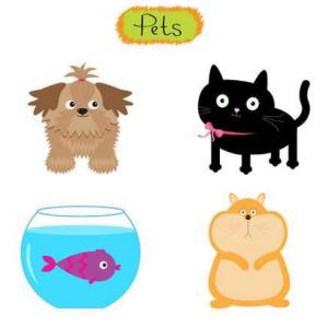 Portada del juego Memory Game. Pets – Idiomas