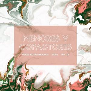 MENORES Y COFACTORES