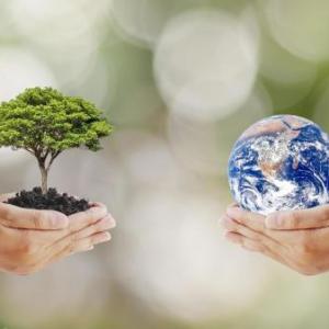 Mantenimiento del Medio Ambiente