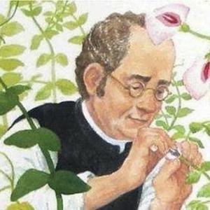 genética de Mendel