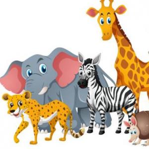 ANIMALES SILVESTRES O SALVAJES