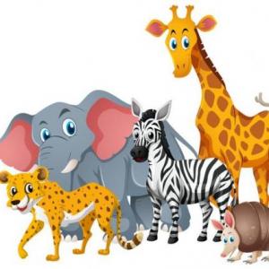 ¿En donde viven estos animales?