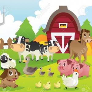 The farm animals
