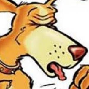 Auxilio a perritos