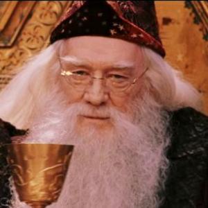 Albus Dumbledore Pazo
