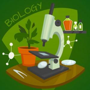 JUEGO DE CIENCIAS