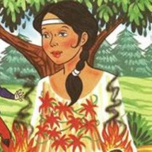 Leyendas la flor del ceibo
