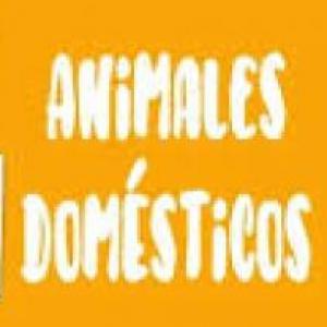 Animales Domésticos
