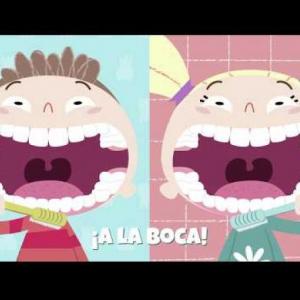 ¡¡TIPOS DE DENTICIÓN!!