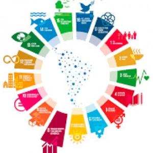 IDENTIFICAMOS ALGUNOS DE LOS OBJETIVO DE DESARROLLO SOSTENIBLE