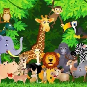 animales