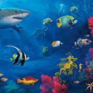 ANIMALES ACUATICOS