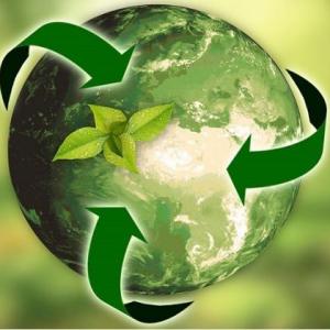 Medio Ambiente