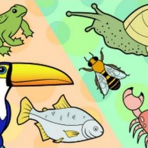 Imagen de portada del videojuego educativo: Trivia: Vertebrados e invertebrados, de la temática Ciencias
