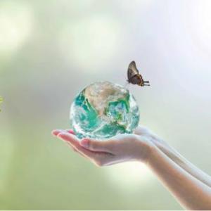 Eco Warriors Quiz