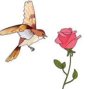 El ruiseñor y la rosa, parte 1
