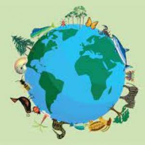 BIODIVERSIDAD
